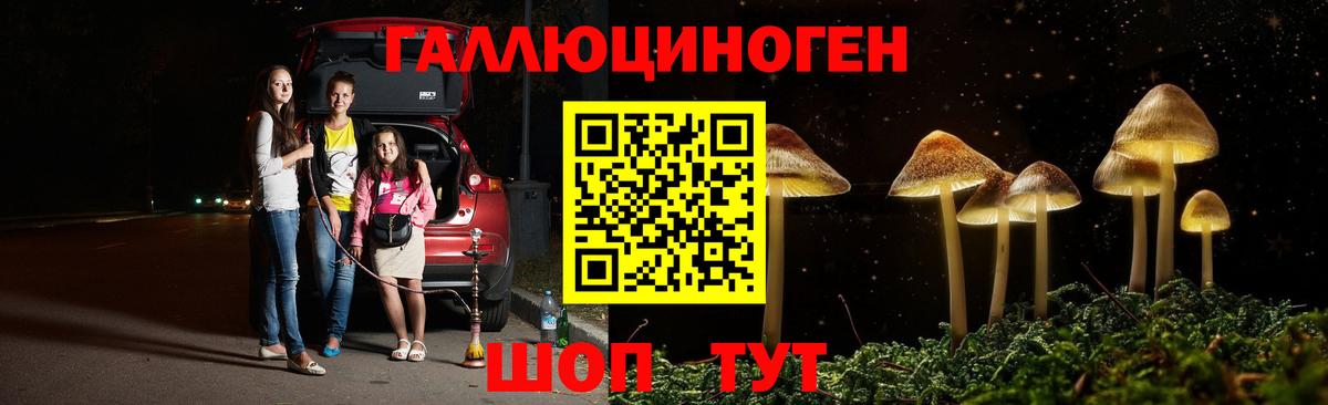 Сарапул  Псилоцибиновые грибы Psilocybe  Вход с VPN 
